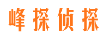 凭祥找人公司